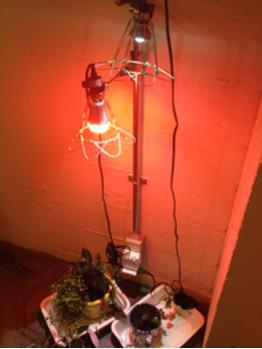 怪しい....._20131117_1